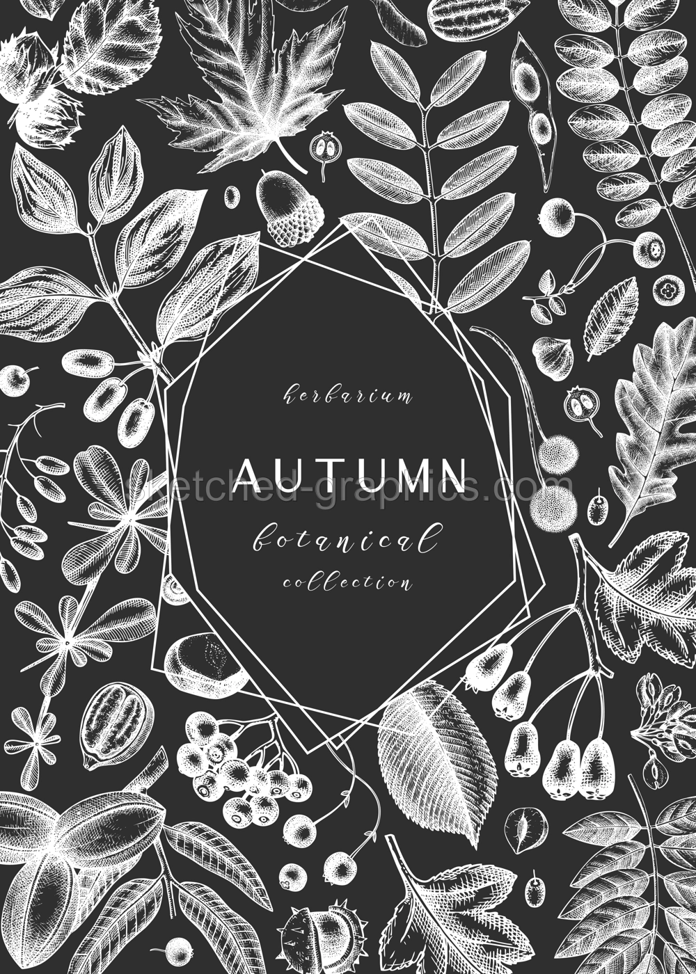 Hand sketched autumn leaves design on chalkboard. Elegant botanical template with autumn leaves, berries, seeds  sketches. Perfect for invitation, cards, flyers, menu, label, packaging.  Illustration
